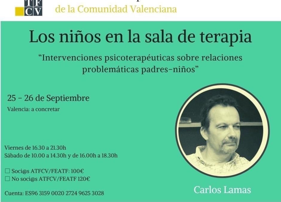 Seminario ATFCV: Los niños en la sala de terapia