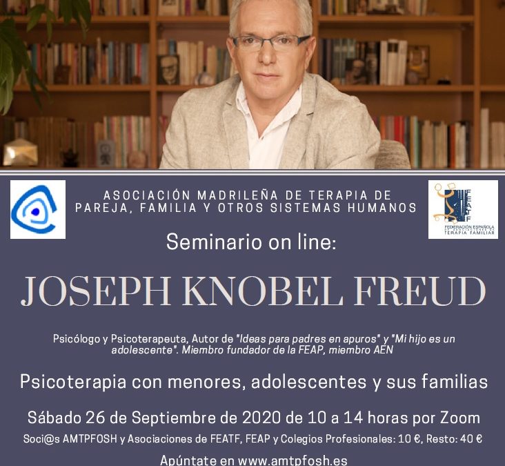 Seminario AMTPFOSH: Psicoterapia con menores, adolescentes y sus familias