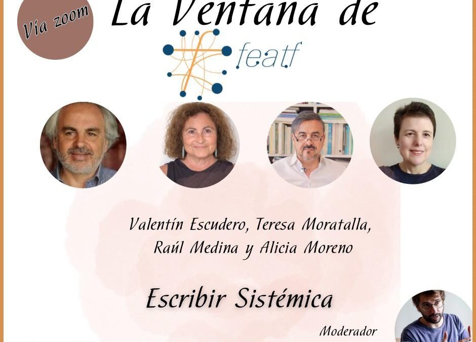 La Ventana de FEATF:  Escribir Sistémica